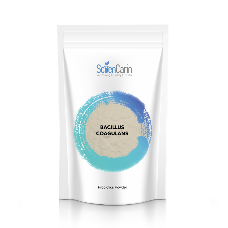 Bacillus Coagulans Factory - 100billion Food Grade Probiotics