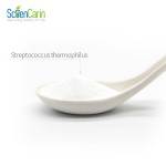 Streptococcus Thermophilus Factory - Probiotics Powder Reliable Quality
