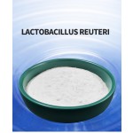 Lactobacillus Reuteri Factory - Freeze-dried Probiotics Manufacturer