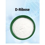 D-Ribose Factory - Food Additives Sciencarin Supply