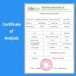 Bifidobacterium Bifidum Factory - Top Purity Probiotics Powder