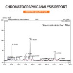 Senna Leaf Extract Manufacturer - 20% Sennosides Reliable Quality