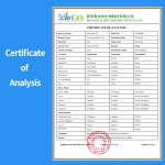 Senna Leaf Extract Manufacturer - 20% Sennosides Reliable Quality