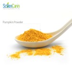 Pumpkin Powder Factory - 100% Pure Vegetable Air Dried