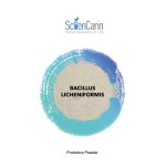 Bacillus Licheniformis Factory - Feed Additives Probiotics Powder