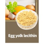 Egg Yolk Lecithin Powder Manufacturer - 15% Reality Quality Supply