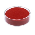 Cranberry Extract Powder Manufacturer - Pure Natural Organic