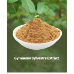 Gymnema Sylvestre Extract Factory - 25% Gymnemic Acid