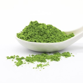 Barley Grass Extract Factory - Chinese Green Powder