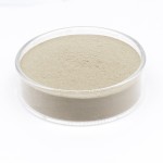 Clostridium Butyricum Factory - Feed Additives Probiotics Powder