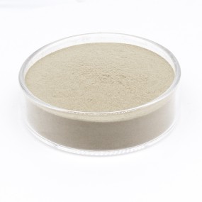 Clostridium Butyricum Factory - Feed Additives Probiotics Powder