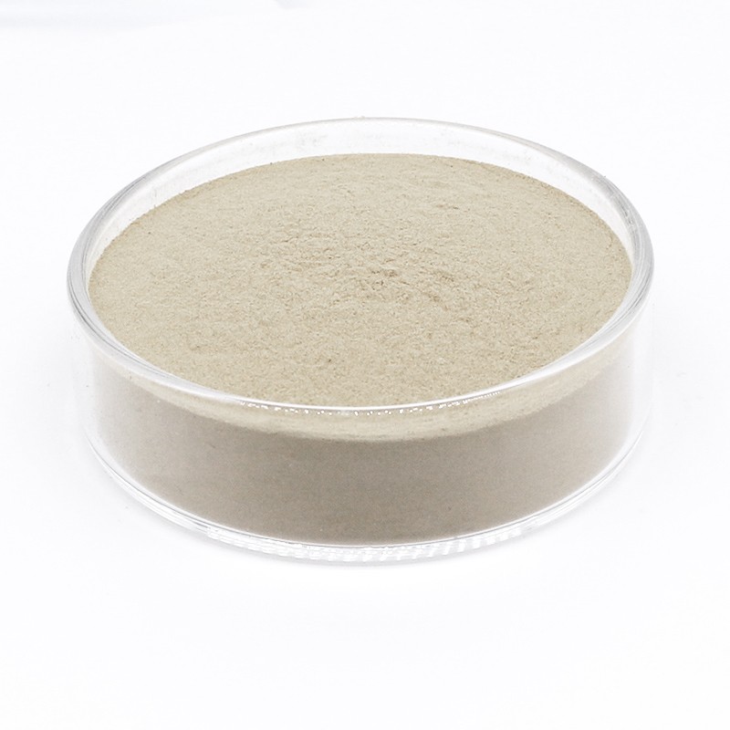 Clostridium Butyricum Factory - Feed Additives Probiotics Powder