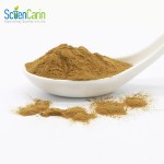 Ashwagandha Extract Supplier - 5% Withanolides Plant Extract