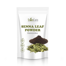 Senna Leaf Extract Manufacturer - 20% Sennosides Reliable Quality