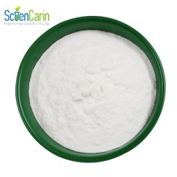 Xylitol Powder Supplier - 99% Natural Food Grade Free Sample