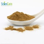 Yucca Schidigera Extract Manufacturer - 30% Yucconin Pet Care Supplement