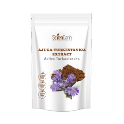 Ajuga Turkestanica Extract Supplier - 2% Turkesterone Sports Supplement