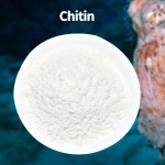 Chitin Factory - 90% Food Additives Factory Supply