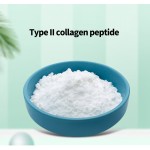 Collagen Peptide Factory - Type II Raw Material Wholesale
