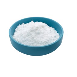 Collagen Peptide Factory - Type II Raw Material Wholesale