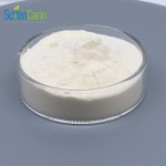 Vitamin K2 Mk7 Powder Supplier - 0.2% Health Supplements Hot Selling
