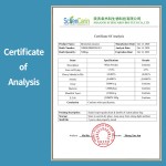 Bromelain Enzyme Supplier - 50000u/g Bromelain Sciencarin