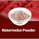 Watermelon Powder Supplier - Water Soluble Free Sample