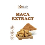 Maca Extract Powder Manufacturer - 10:1 20:1 Lepidium Meyenii
