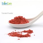 Tomato Powder Manufacturer - 100% Pure Vegetable Powder