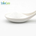 Calcium Lactate Powder Supplier - 99% Food Additive Supply
