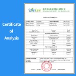 Turmeric Root Extract Manufacturer - 95% Curcumin Healthcare