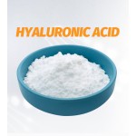 Hyaluronic Acid Powder Supplier - 99% Cosmetic Raw Material Sciencarin