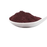 Acai Berry Powder Supplier - 100% Organic Natural Fruit