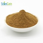 Yucca Schidigera Extract Manufacturer - 30% Yucconin Pet Care Supplement