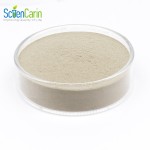 Saccharomyces Cerevisiae Powder Manufacturer - CAS 84604-16-0 Feed Grade