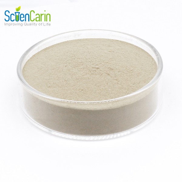 Saccharomyces Cerevisiae Powder Manufacturer - CAS 84604-16-0 Feed Grade