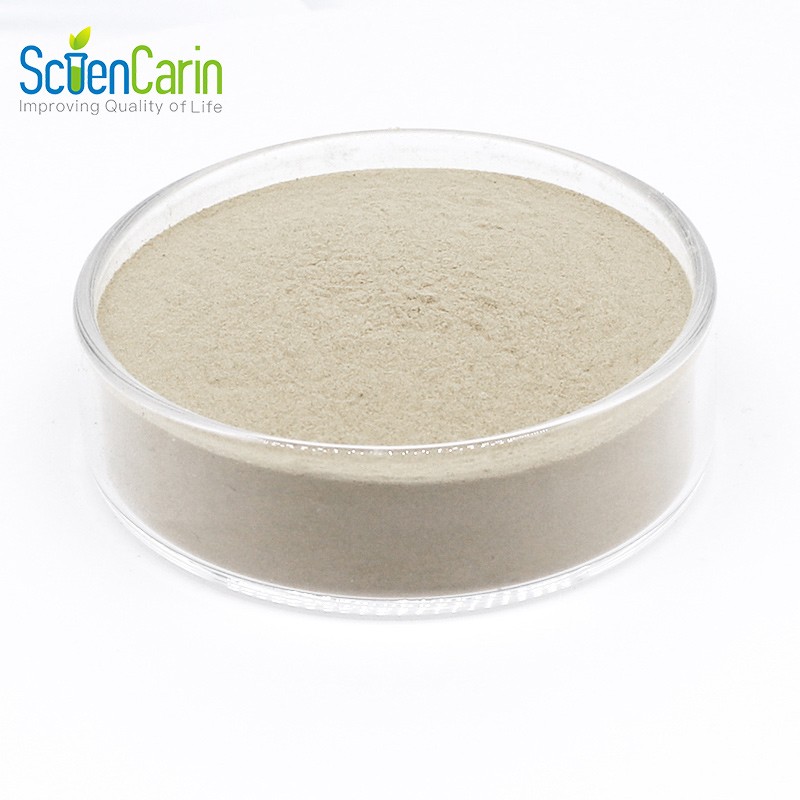 Saccharomyces Cerevisiae Powder Manufacturer - CAS 84604-16-0 Feed Grade
