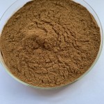 Reishi Mushroom Extract Factory - 40% Polysaccharides Powder