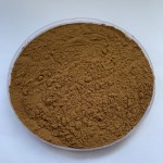 Reishi Mushroom Extract Factory - 40% Polysaccharides Powder