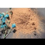 Lemon Verbena Extract Factory - Herbal Extract Low Price