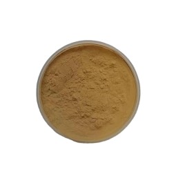 Ginseng Extract Powder Supplier - 10:1 Root Extract Bulk