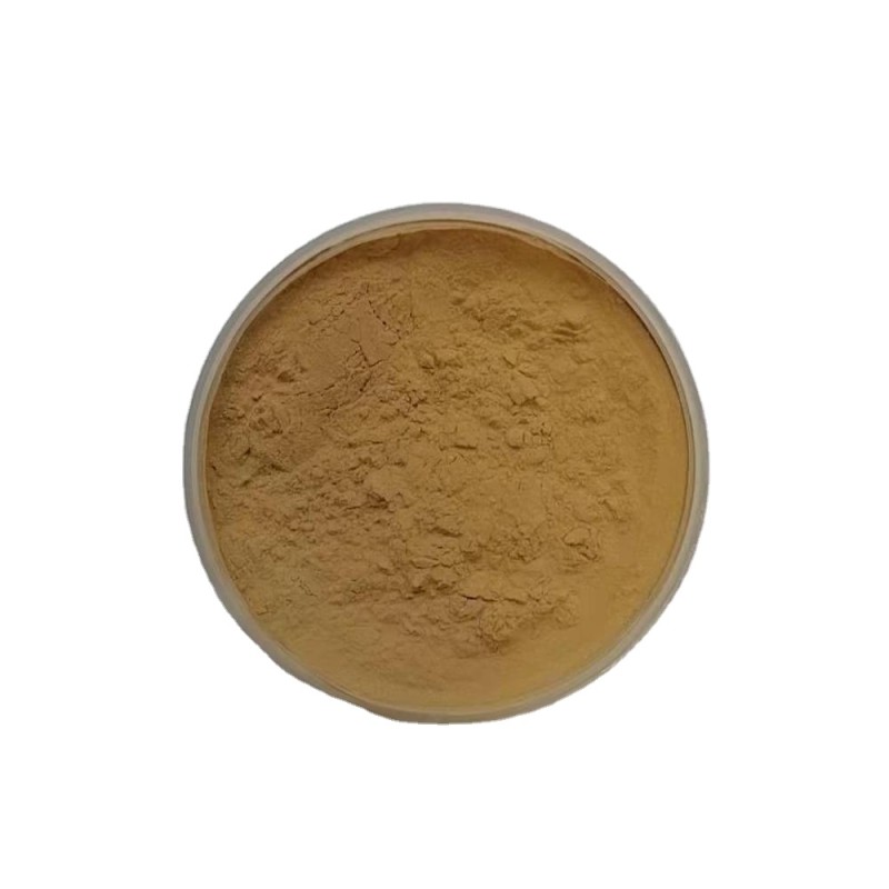 Ginseng Extract Powder Supplier - 10:1 Root Extract Bulk