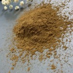 Mushroom Extract Powder Manufacturer - Low Price Bulk Supply