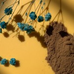 Lion's Mane Coffee Powder Factory - Water Soluble Mushroom