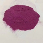 Purple Sweet Potato Powder Supplier - 100% Pure Food Grade