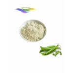 Pea Protein Powder Factory - 80% Wholesale Price