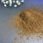Mushroom Extract Powder Manufacturer - Low Price Bulk Supply