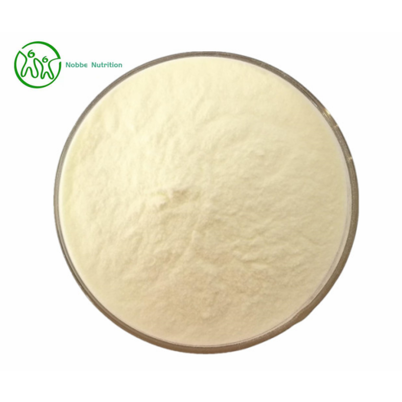 Marine Collagen Powder Supplier - Cosmetic Grade Bulk