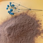 Lion's Mane Powder Manufacturer - Bulk Price Mushroom Extract