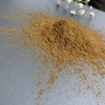 Camu Camu Extract Supplier - 100% Pure Powder Bulk